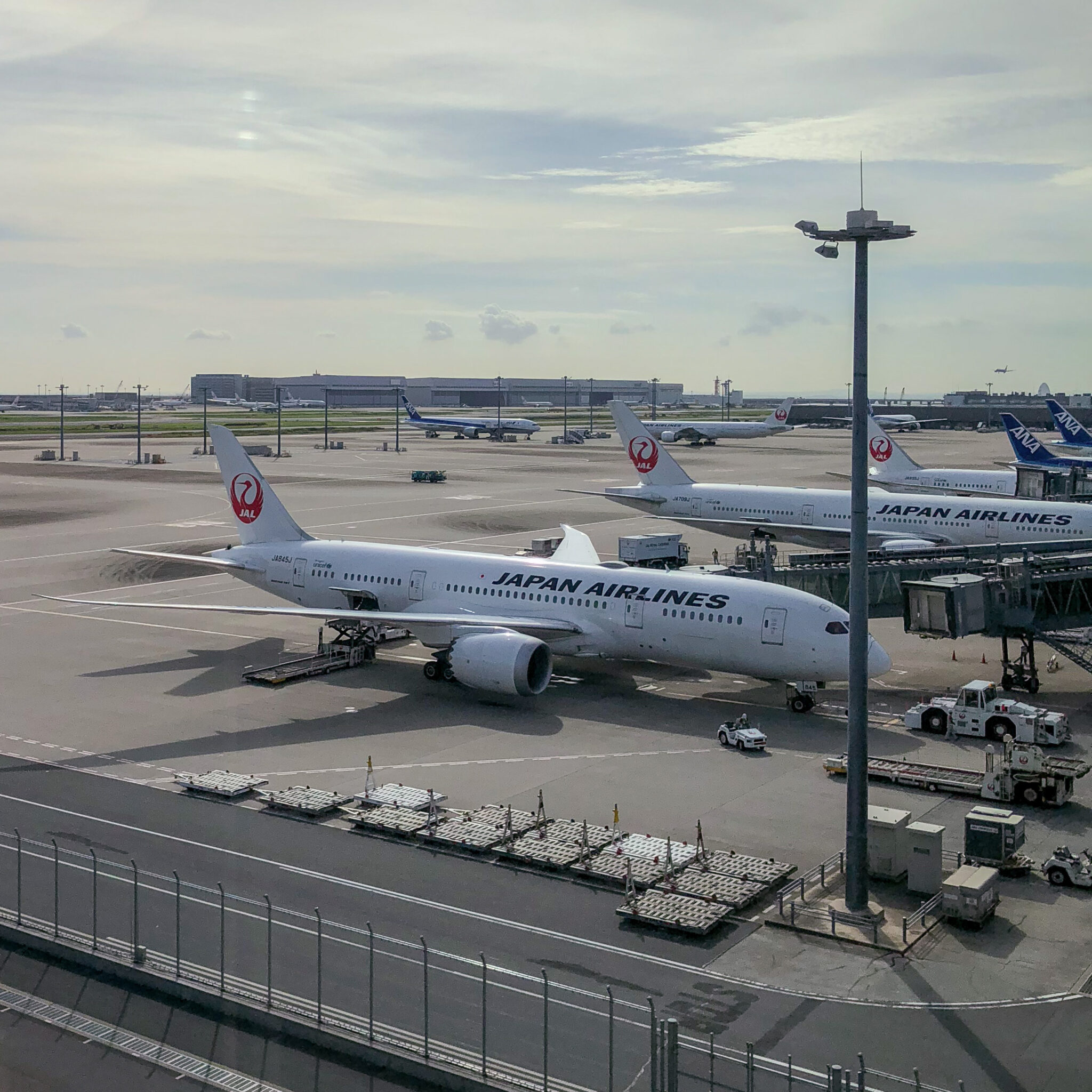 羽田空港に停まる航空機