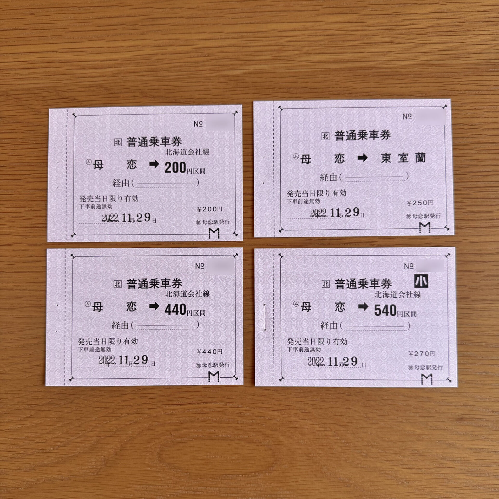 母恋駅発行のきっぷ