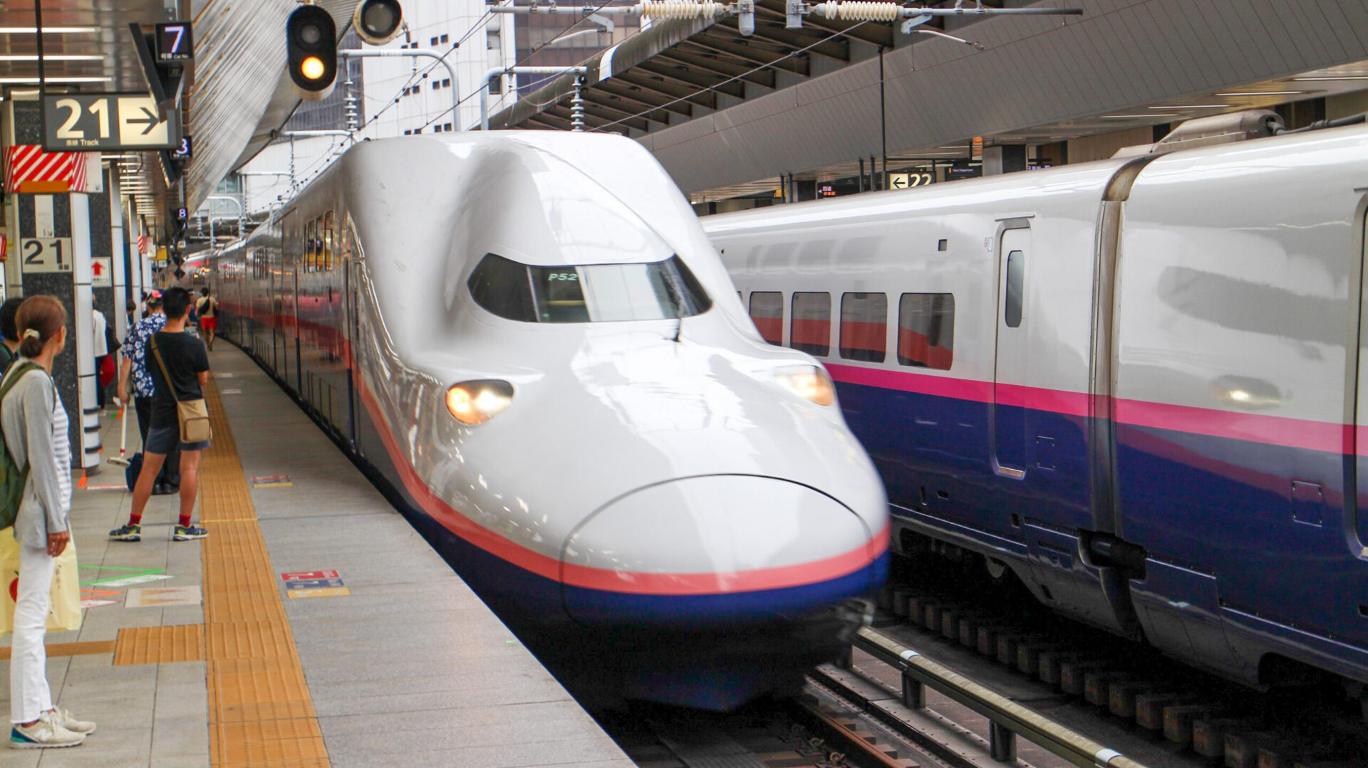 Maxたにがわ号東京駅にて