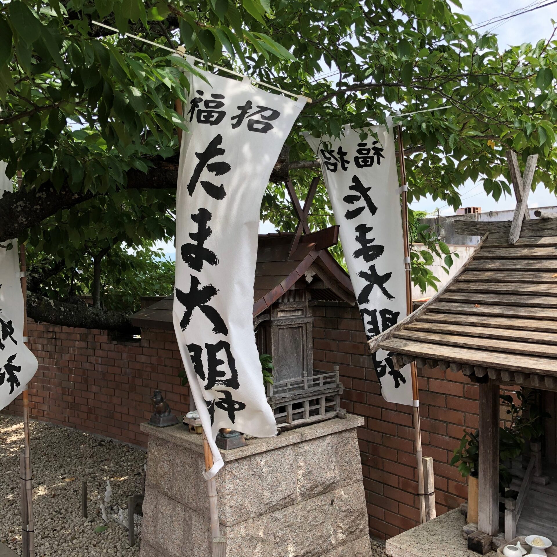 たま神社貴志駅にて
