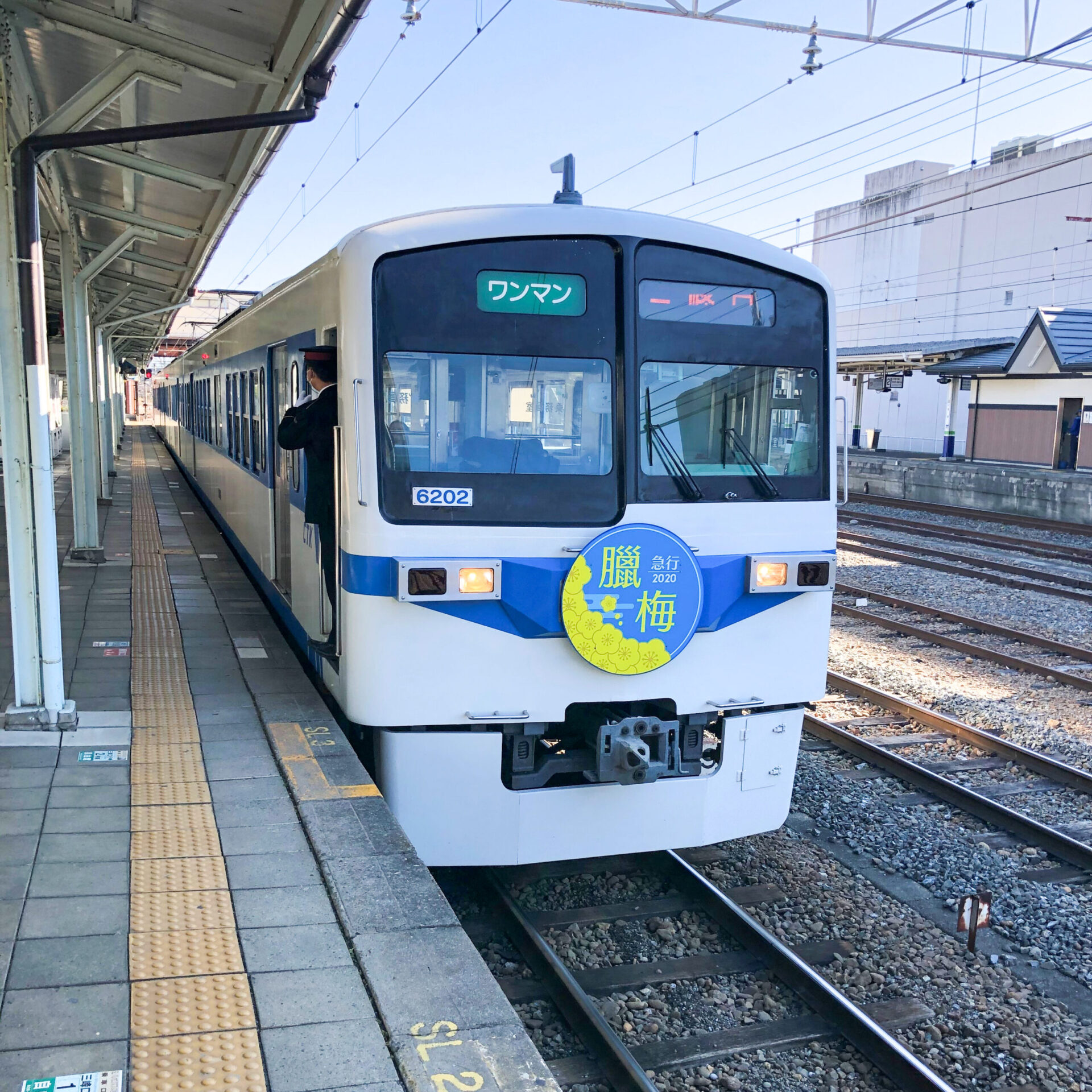 秩父鉄道ロウバイ号