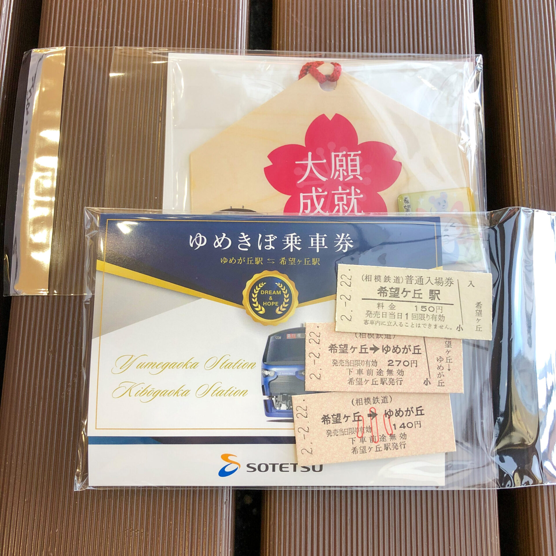 相模鉄道ゆめきぼ乗車券