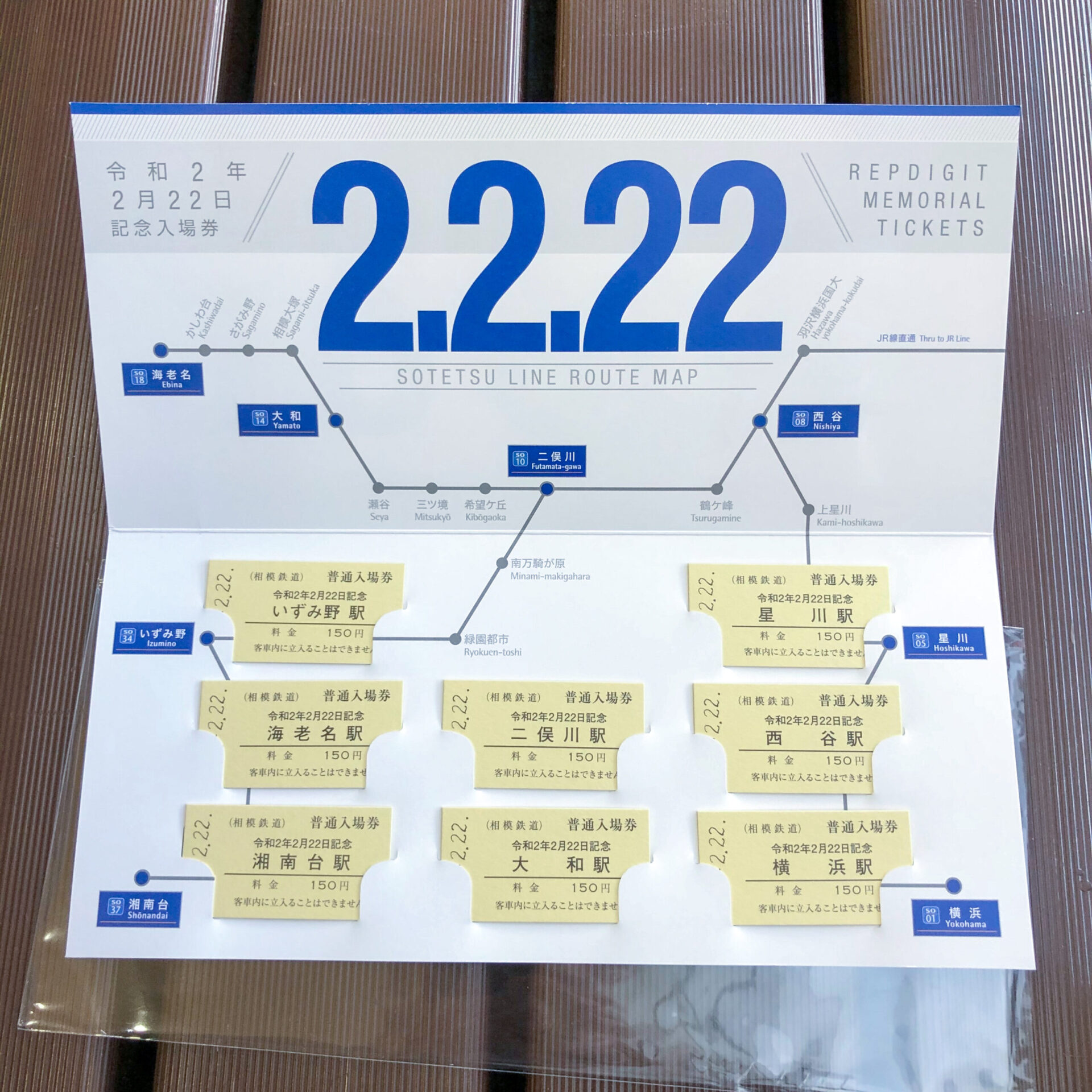 相模鉄道日並びきっぷ