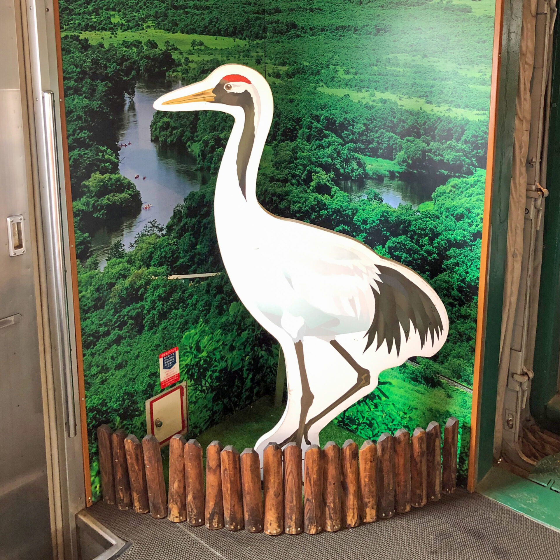 くしろ湿原ノロッコ号たんちょう
