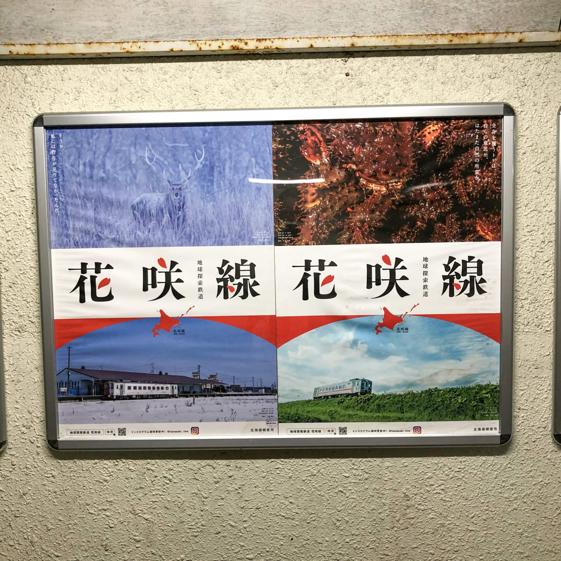 花咲線のポスター