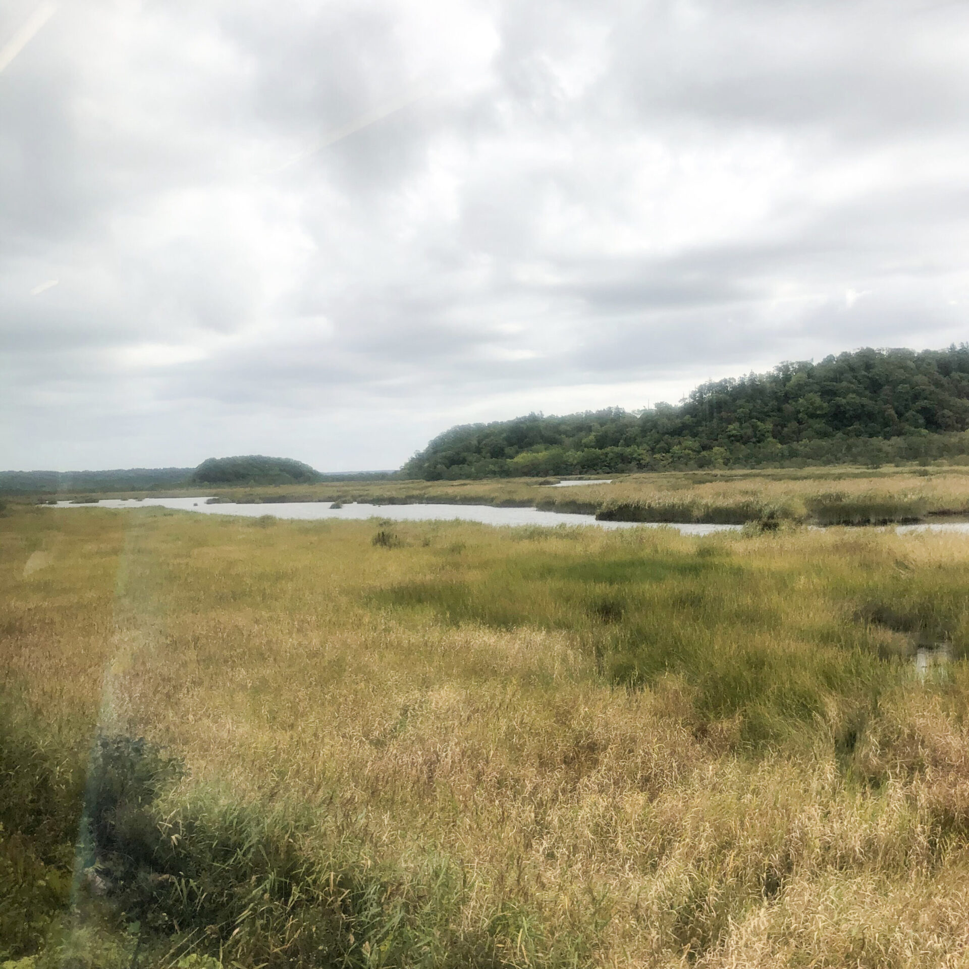 旧糸魚沢駅近くの湿原
