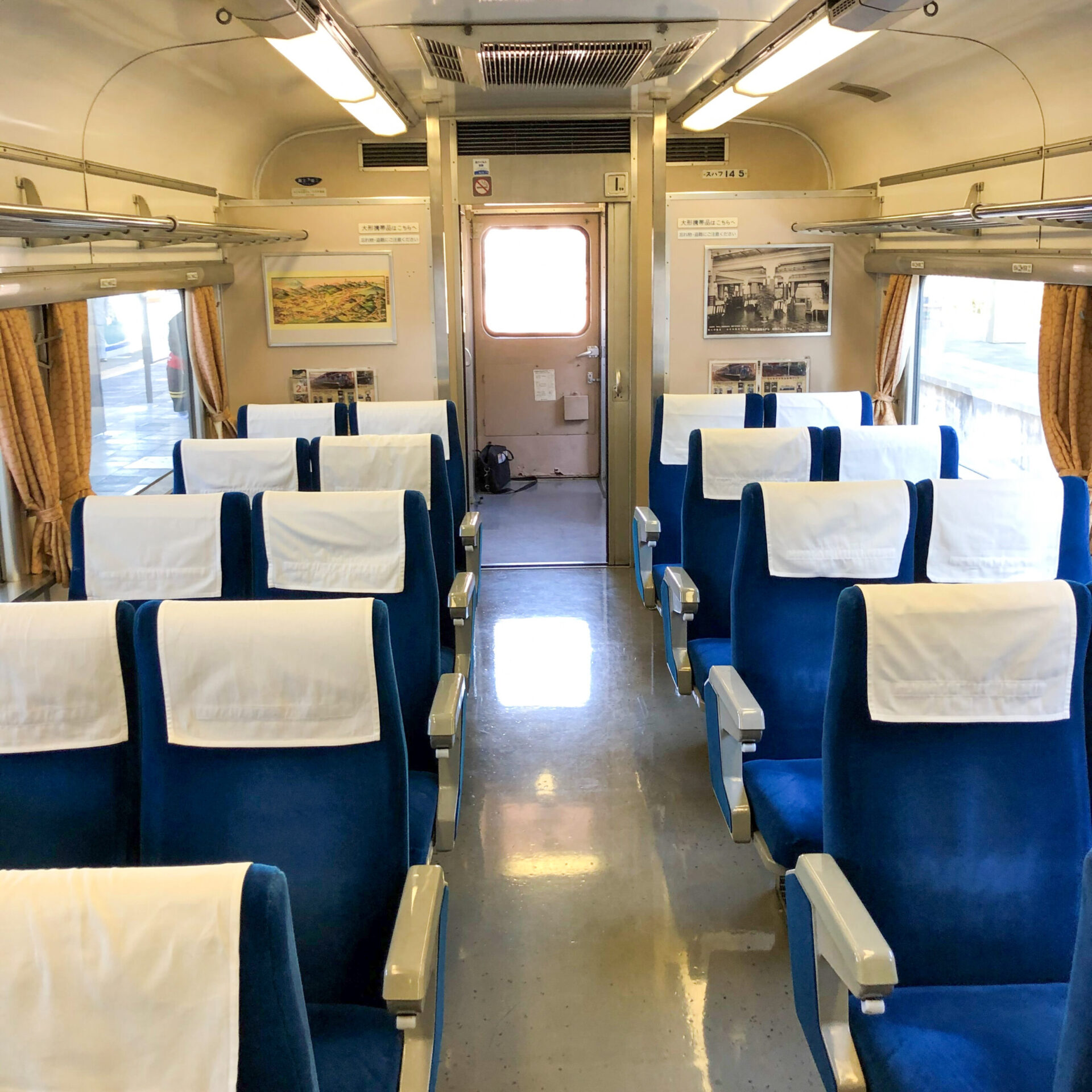 SLDL大樹号一般車両
