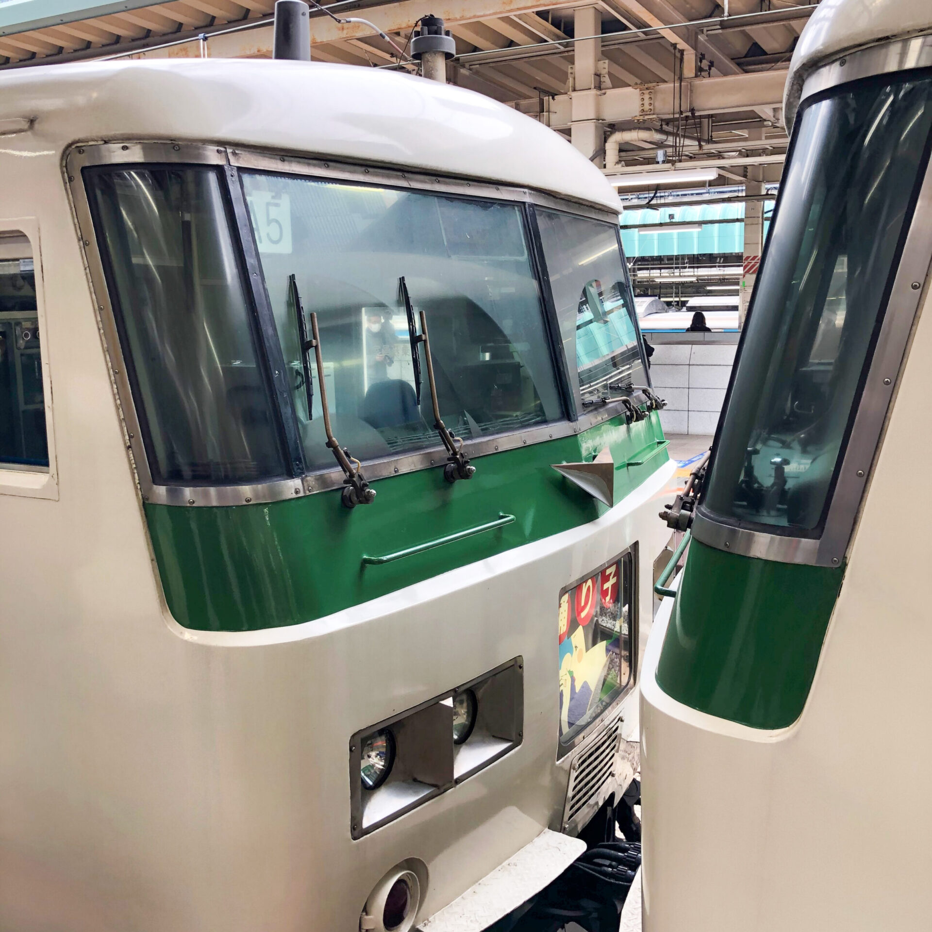 特急踊り子13号車両連結部分