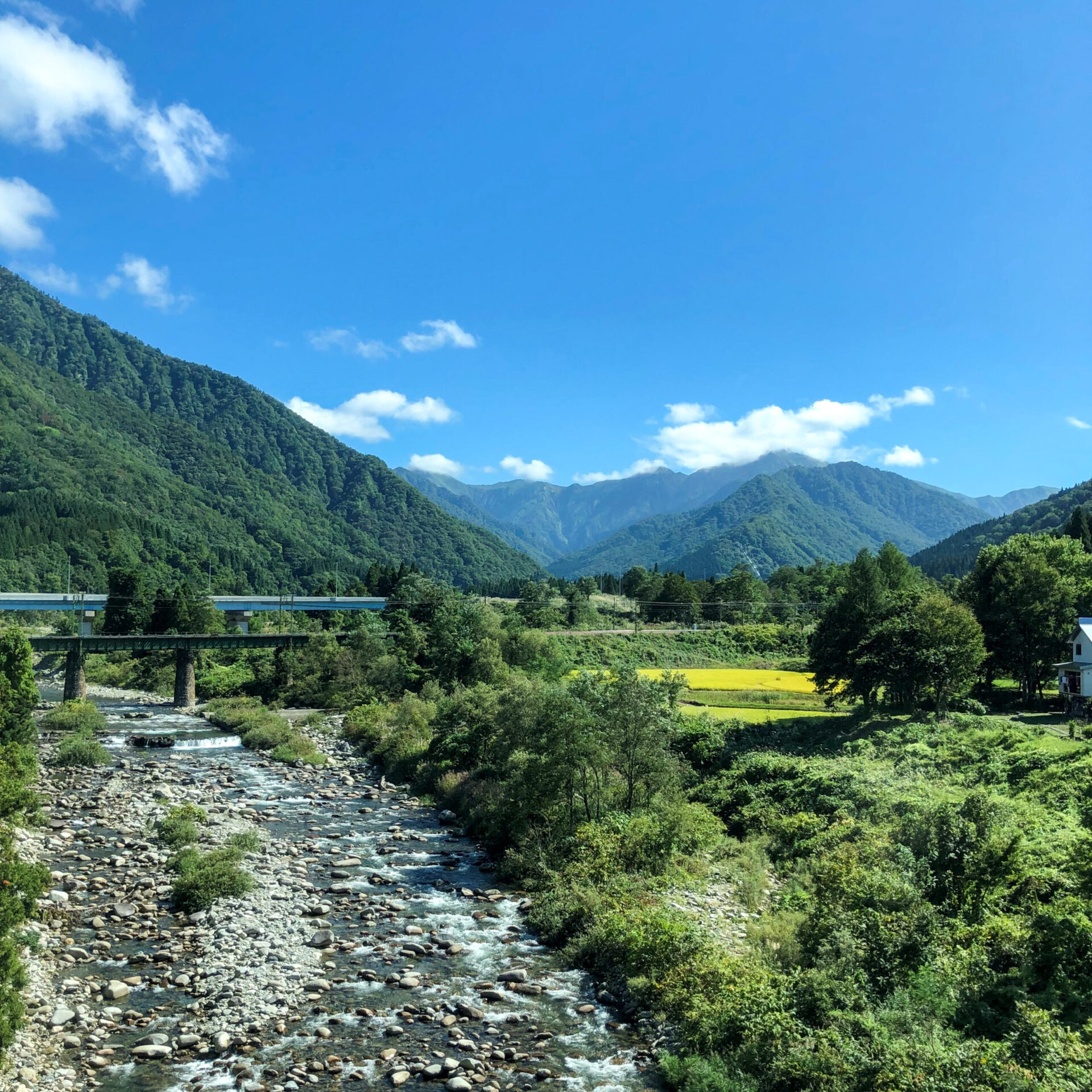 上越線越後中里駅付近車窓