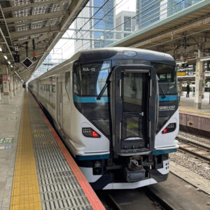 E257系踊り子号東京駅にて