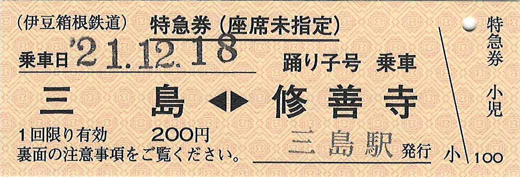 踊り子号線内特急券