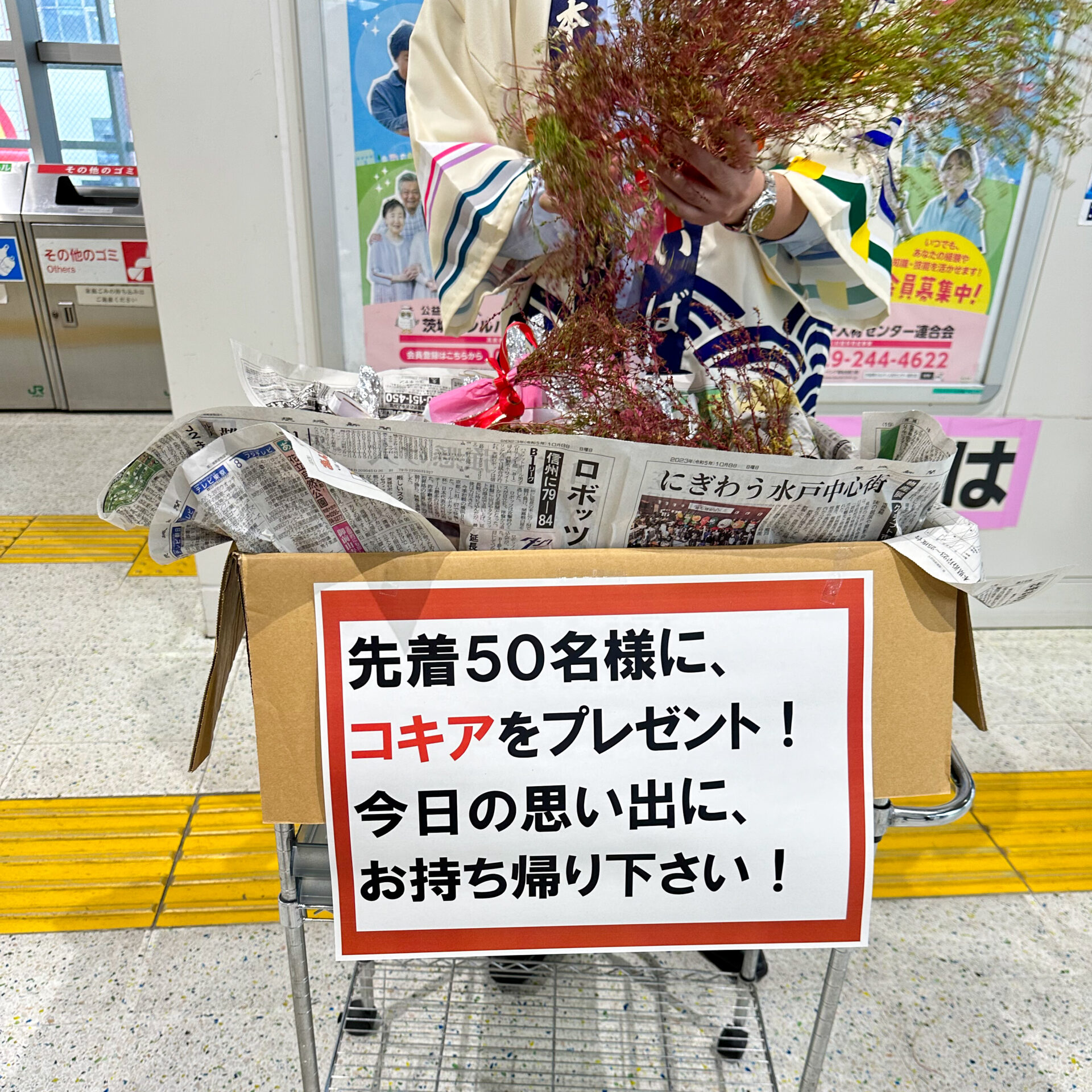 勝田駅にてコキアの限定配布