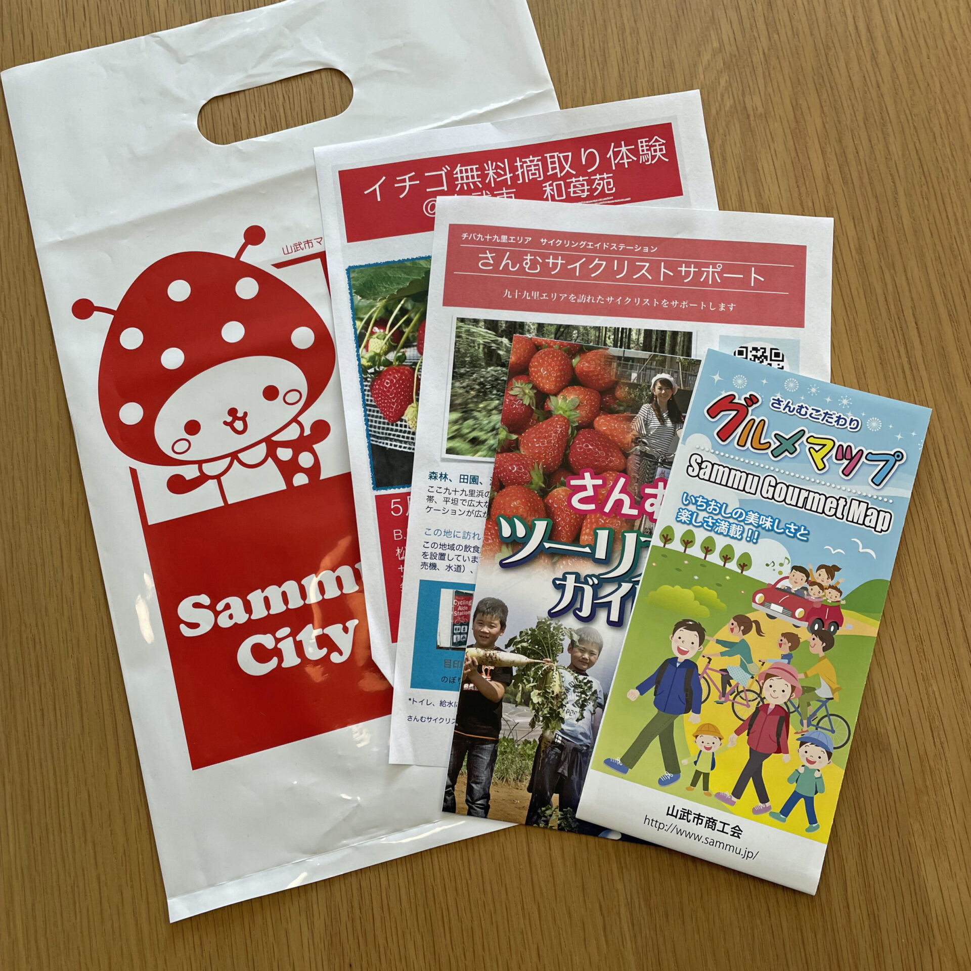 千葉県山武市の観光パンフレット