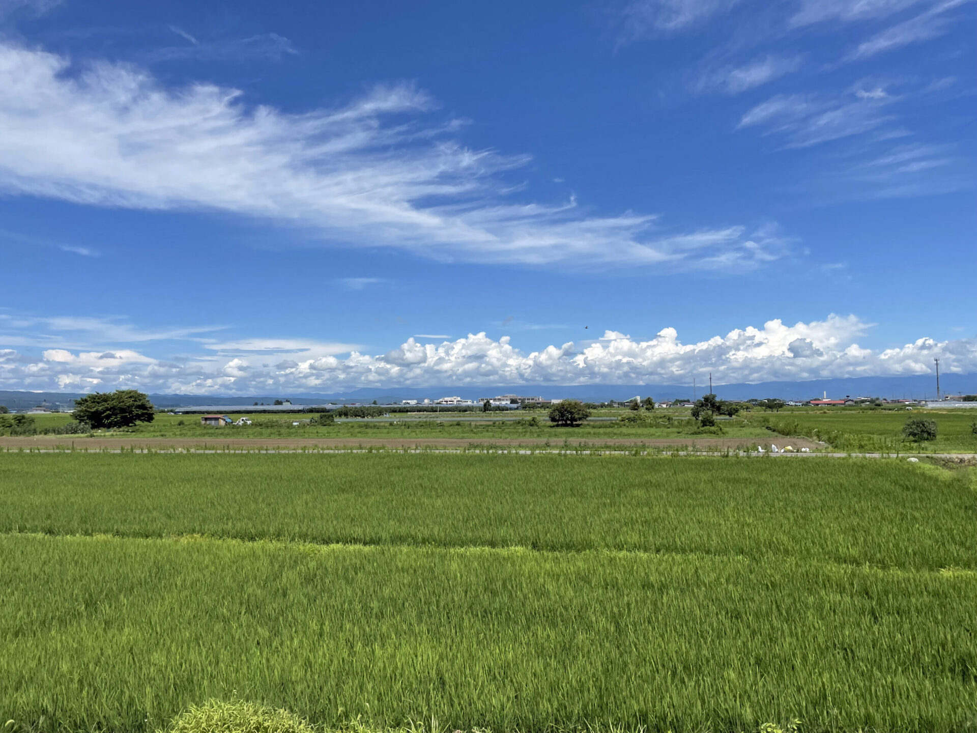只見線から見る会津盆地