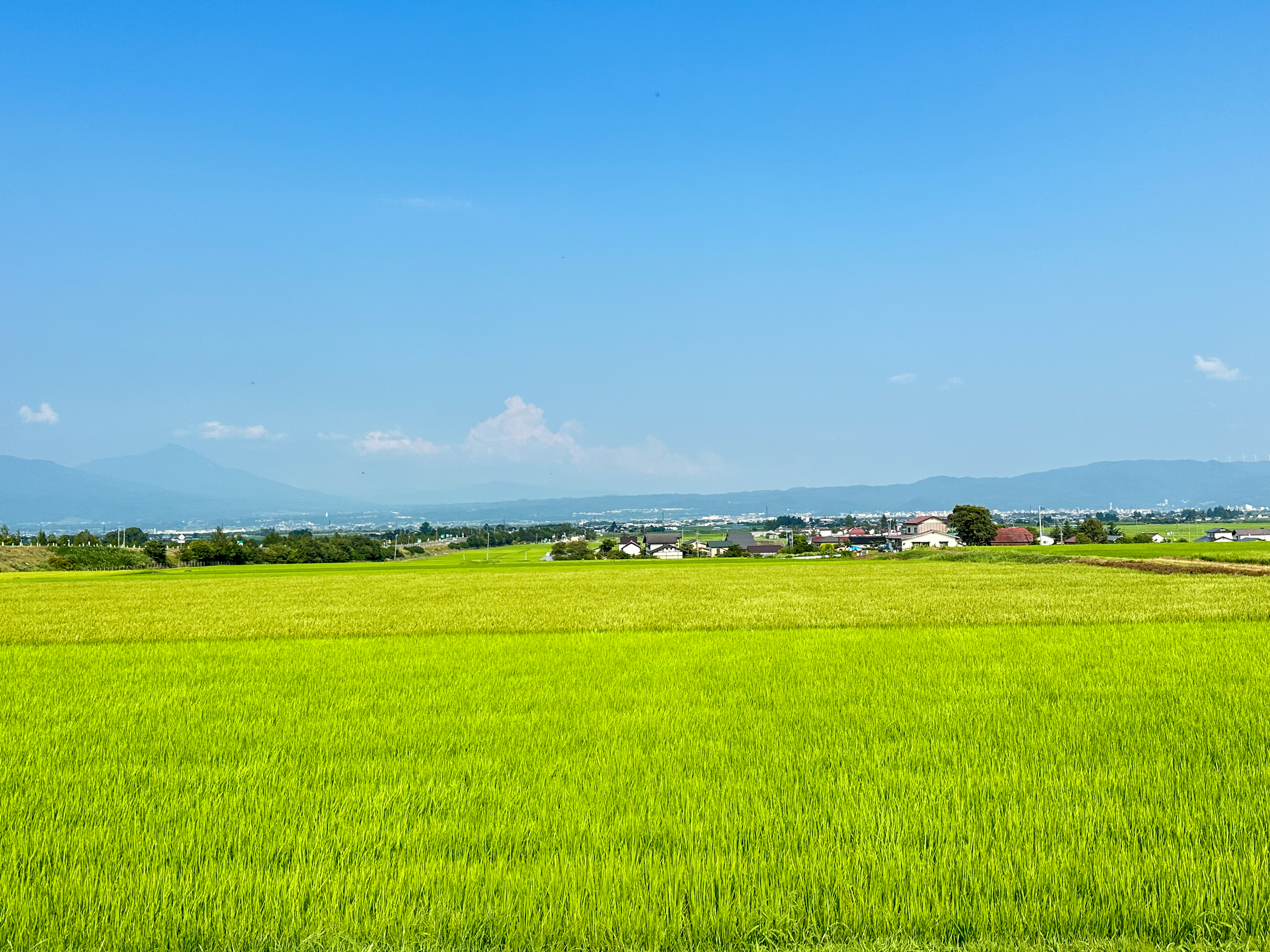 只見線から見る会津盆地