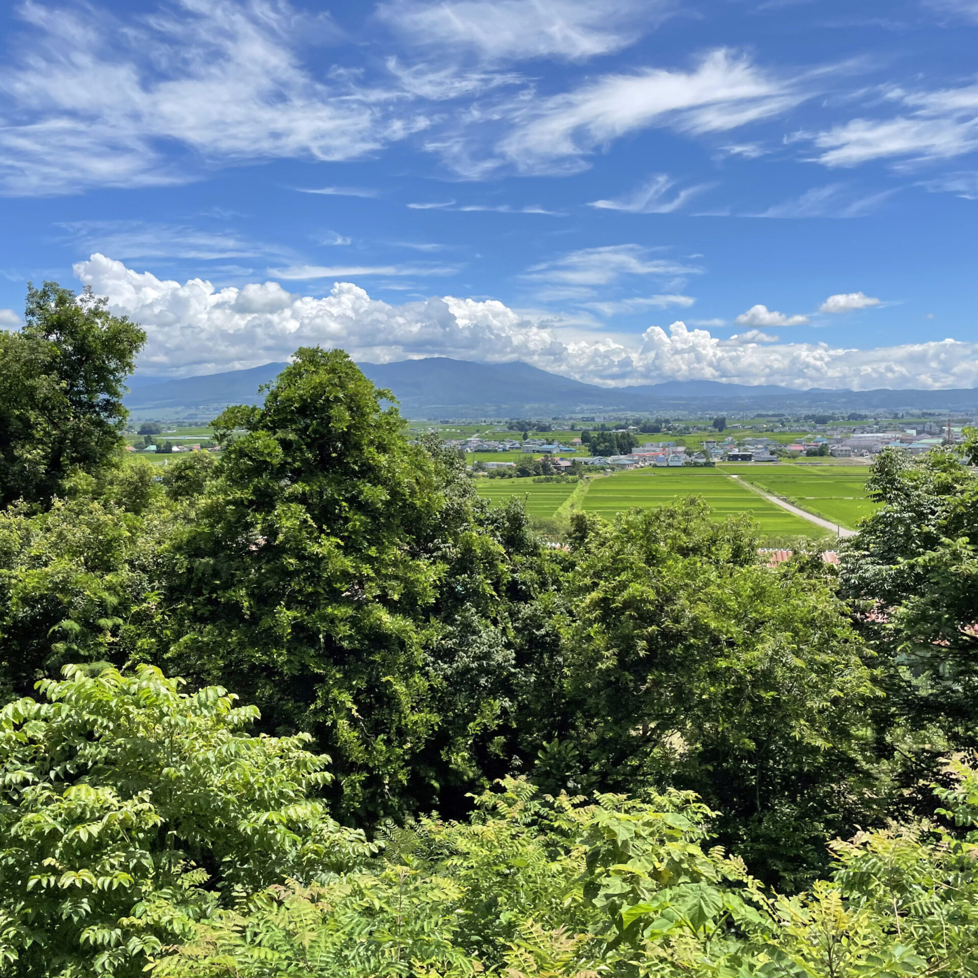 夏の風景