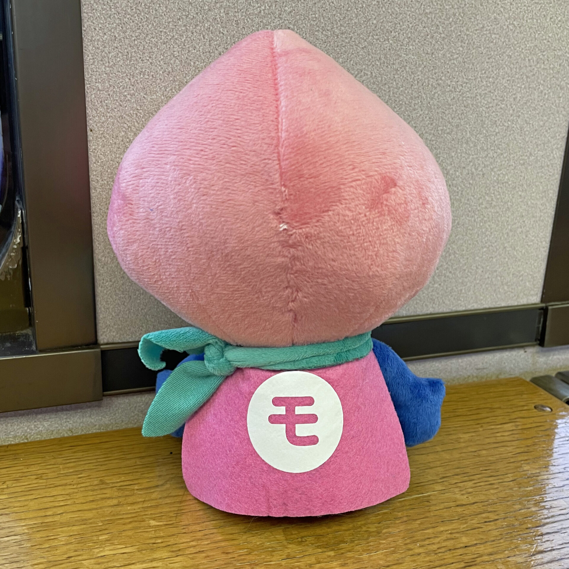 モモずきん背面