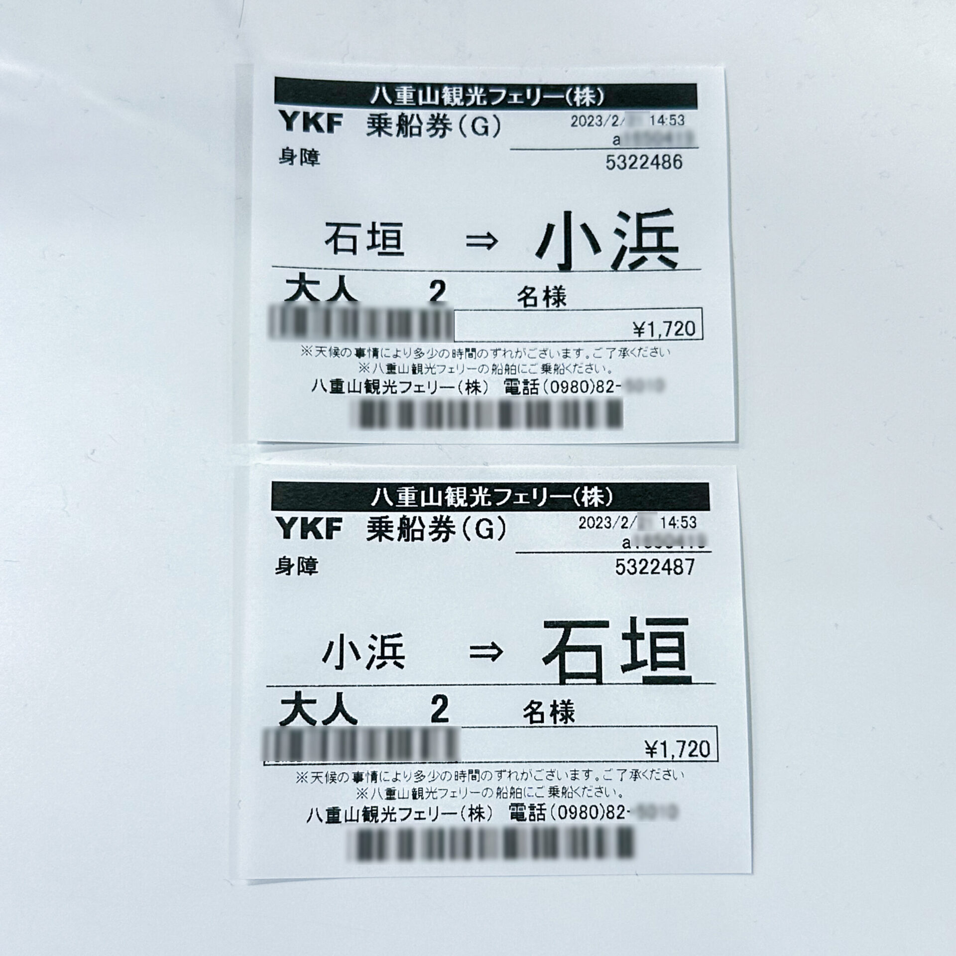 八重山観光フェリー乗船券