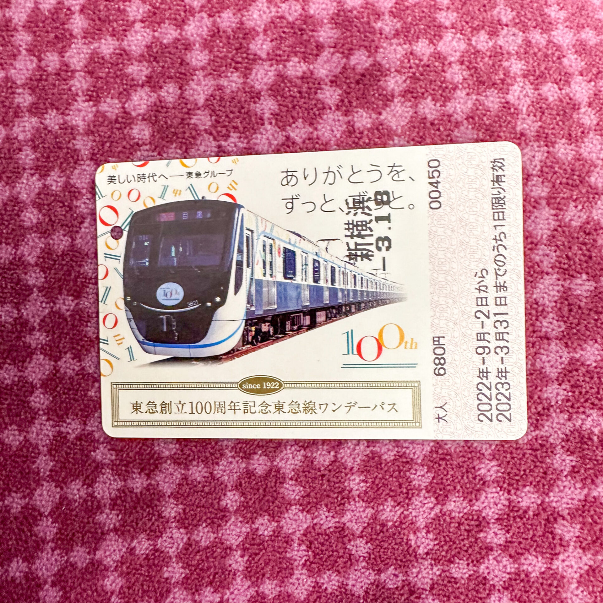 東急ワンデーパス