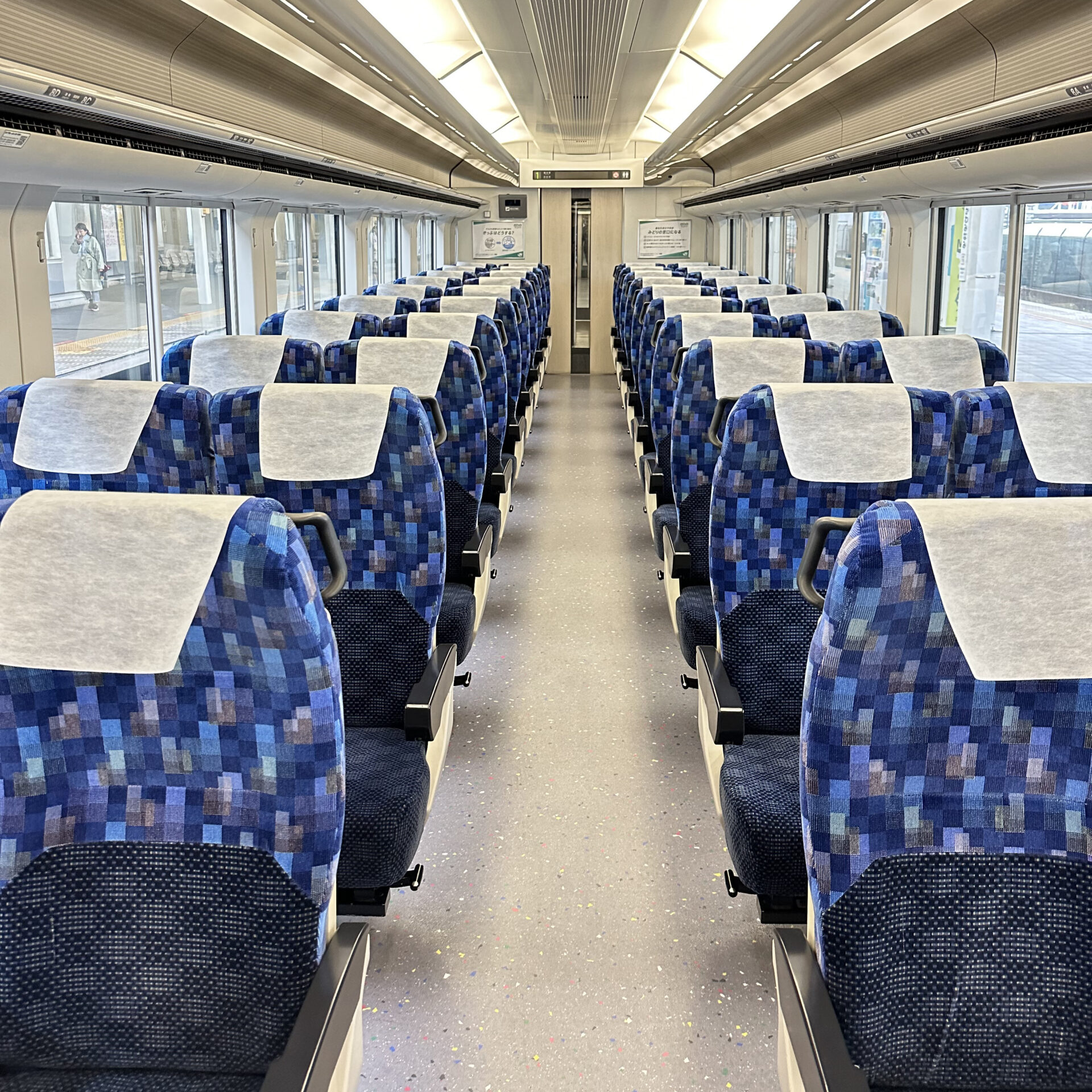E257系電車車内