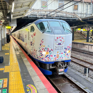 特急はるか天王寺駅にて