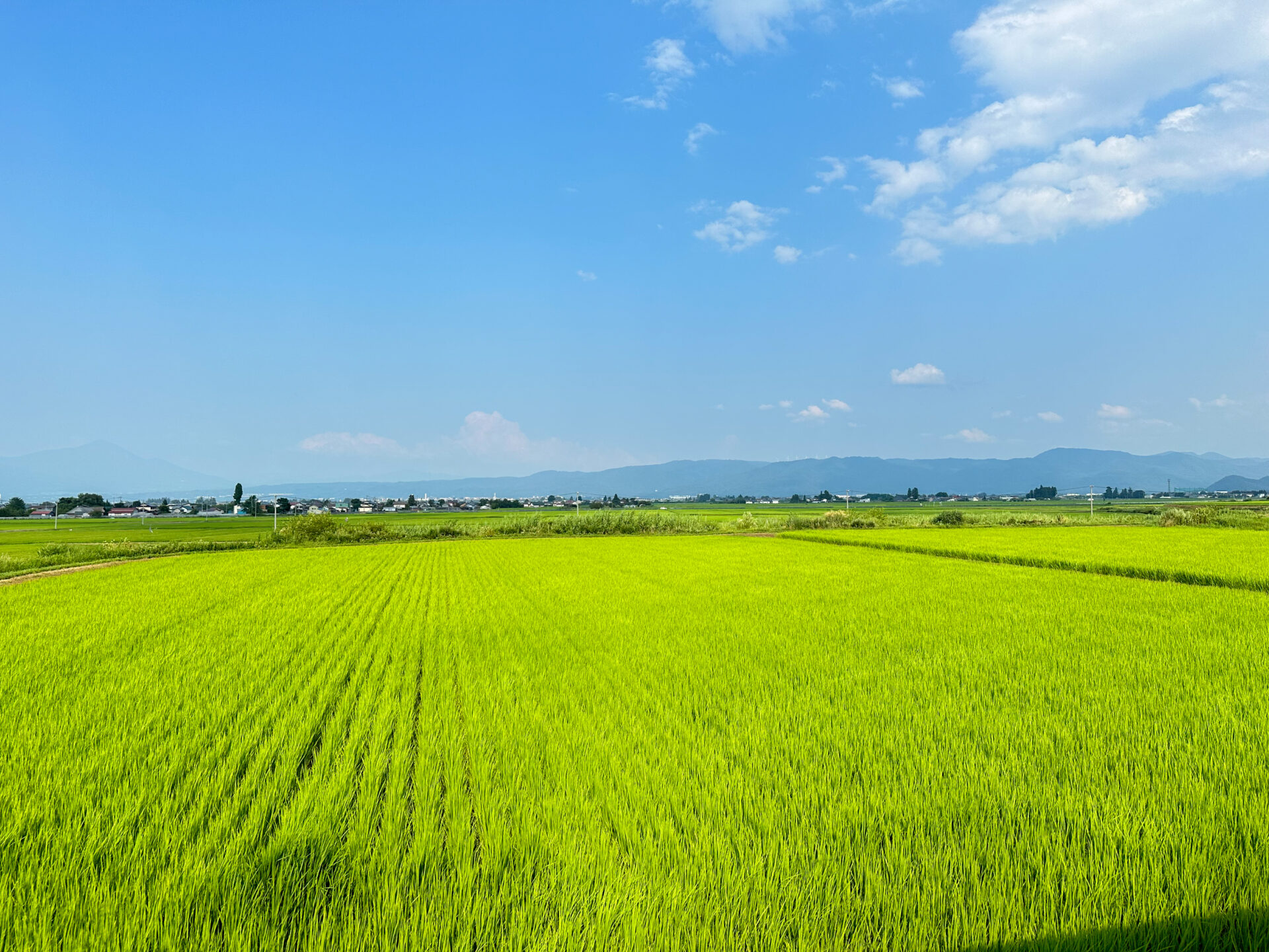 只見線から見る会津盆地